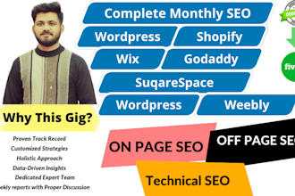 provide complete monthly SEO service for top google ranking