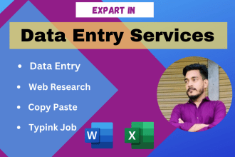 do professional data entry, copy paste and web research job