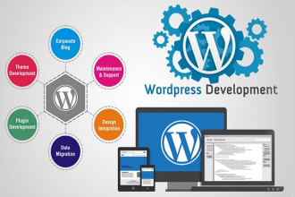 build wordpress website design and website development and divi website