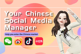 be your social media manager for chinese market
