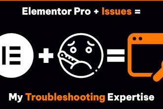 fix your elementor pro issues for smooth site operation