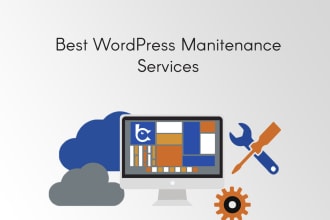 expert maintenance and support for your wordpress website