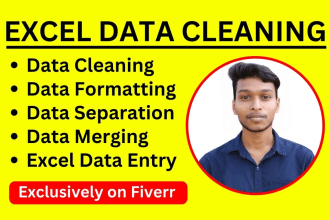 do excel data entry, data cleaning, split, marge, formatting