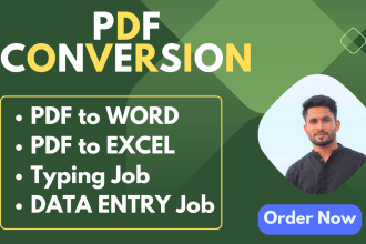 do convert pdf to excel, pdf to word, data entry, and copy typing job