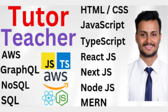 teach HTML CSS javascript typescript react nodejs nextjs AWS