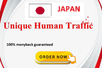 drive japan website views to increase website audience of your site