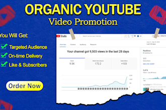 do organic youtube video promotion