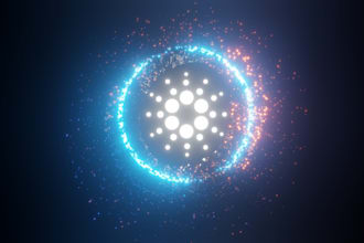 build a cardano stake pool
