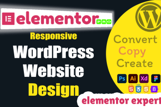 be your elementor expert and elementor pro expert