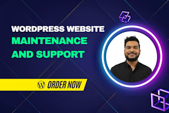 wordpress website maintenance or wordpress maintenance