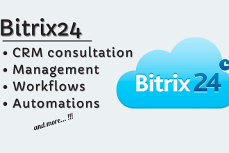 bitrix24 consultation and management