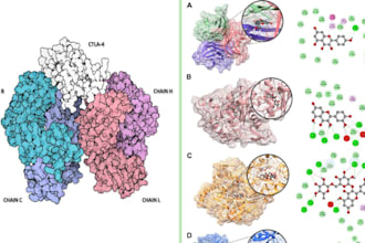 do computational drug design docking qsar virtual screening