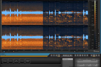 remove background noise and echo