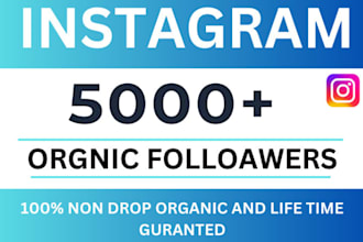 do manage your instagram account organic growth audience
