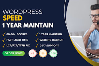 maintain wordpress speed optimization for google pagespeed insights for a year