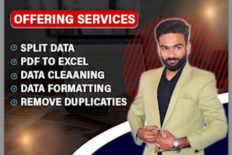 do excel data cleaning, formatting and tally expert fast and accurate