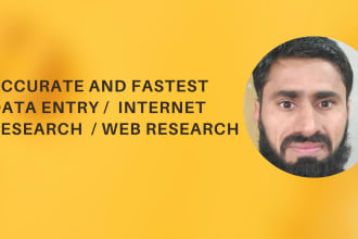 do accurate and fastest data entry , internet research , web research