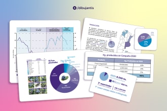 design attractive and professional infographics for your presentation