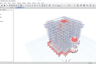 perform analysis, design and assessment of concrete and steel structures