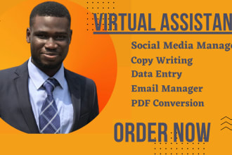 be your personal, creative virtual assistant for data entry, copy paste