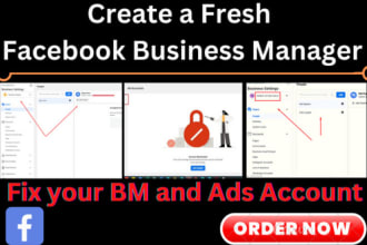 setup, optimize, fix facebook business manager,  ads account
