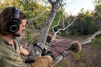 deliver any soundscape from any field location