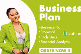 write investor ready business plan, startup and 501c3