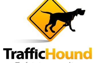 design a professional logo for you just