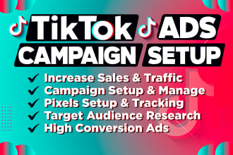 setup tik tok ads campaign, tik tok ads, tik tok video ads, tik tok advertising