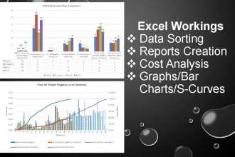 do excel reports, bar charts, graphs cost analysis reports