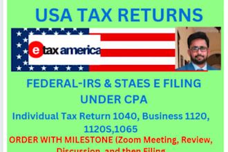 prepare, amend and e file US individual and business tax returns