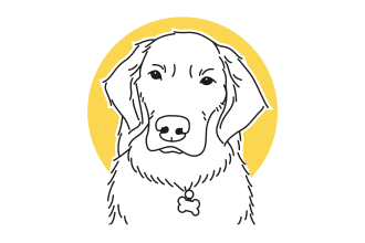 draw your pet or dog in flat line illustration