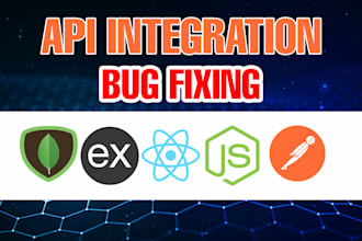 help with API integration, node js rest api, bug fixing