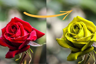 change color of anything in photoshop