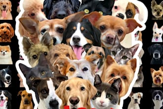 create a stunning vector portrait of your pet