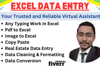 do excel data entry, copy paste, file conversion, data cleaning and formatting
