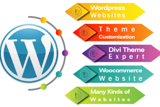 be your divi expert for divi website, divi customization