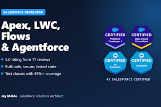 be your salesforce developer for agentforce, lwc, flow, apex