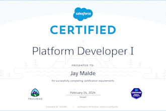be your salesforce developer for agentforce, lwc, flow, apex