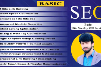 provide elite monthly SEO backlinks services with google