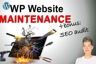 do wordpress website maintenance care plus bonus SEO audit