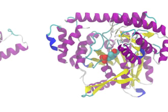 do 3d structure prediction of proteins delivering best models with evaluations