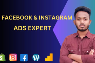 run facebook retargeting ads, will be fb ads manager and instagram ads