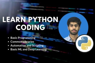 teach you coding or ml in python
