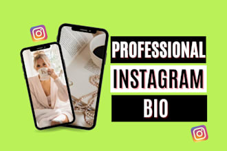 write a professional instagram bio for your instagram
