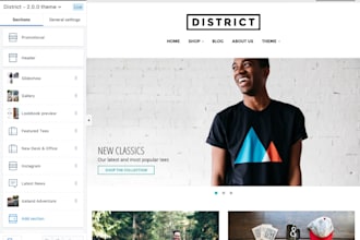develop a custom shopify section or add on