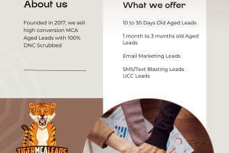 generate mca leads or business loan leads