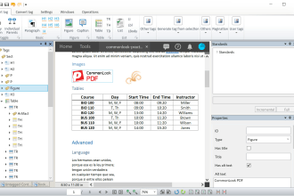 make your PDF accessible following section 508 wcag PDF ua ada compliance