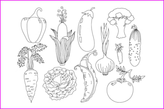 draw line art illustrations of flowers, plants, fruits or flower