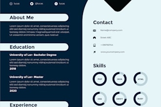 do professional CV resume creating, editing and optimization